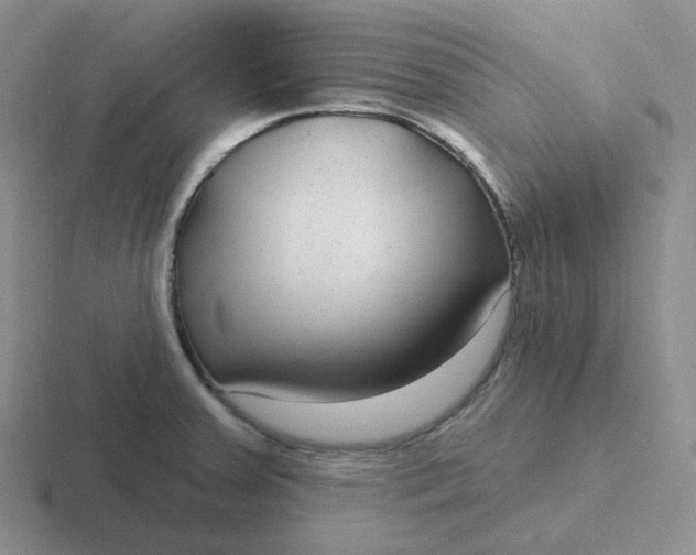 X0000116891379201001051515
