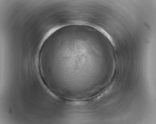 X0000116891381201001051515