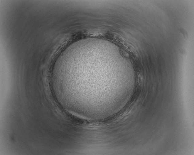 X0000116891393201001051515