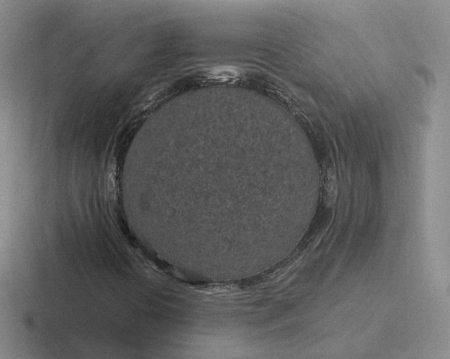 X0000116891394201001051515