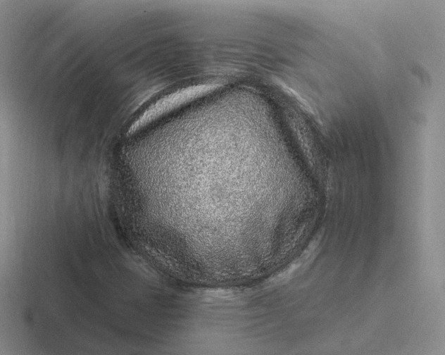 X0000116891401201001051515