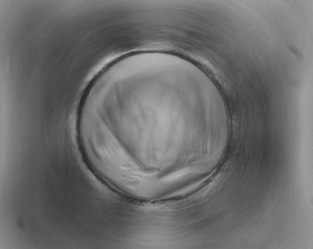 X0000116891422201001051515