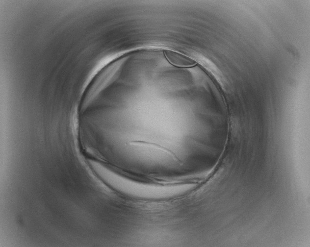 X0000116891428201001051515
