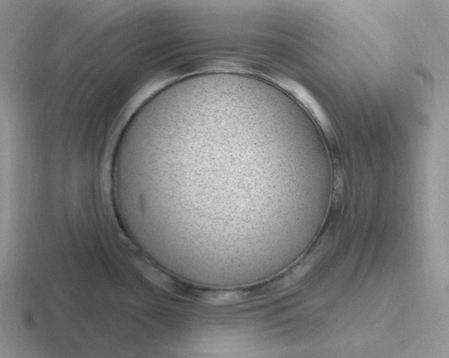 X0000116891435201001051515