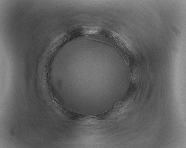 X0000116891441201001051515