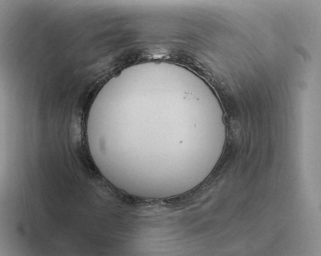 X0000116891442201001051515
