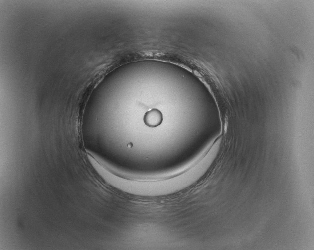 X0000116891444201001051515