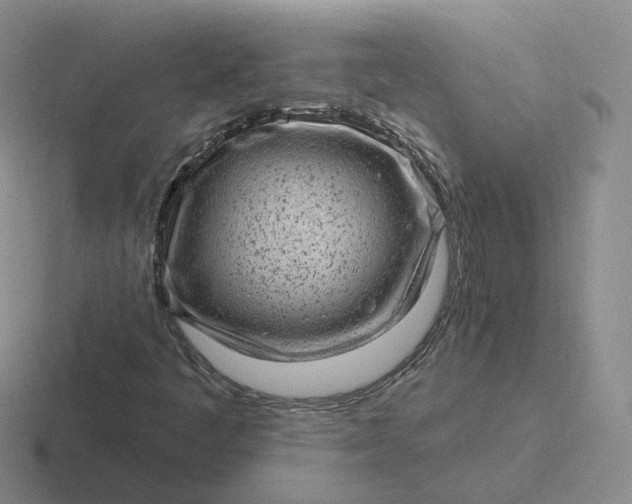 X0000116891445201001051515
