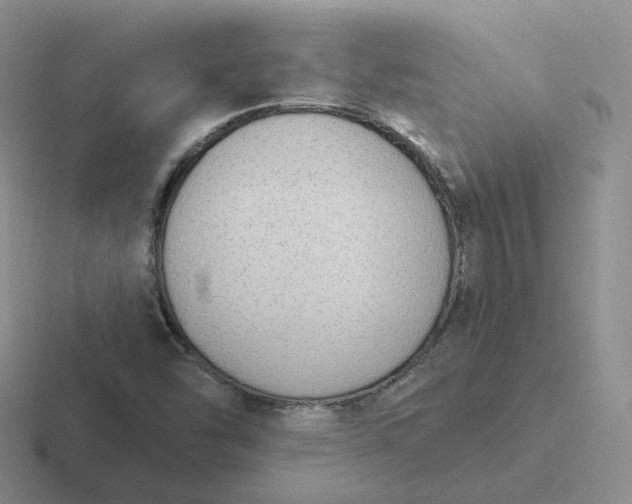X0000116891454201001051514
