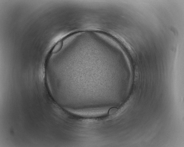 X0000116891461201001051514