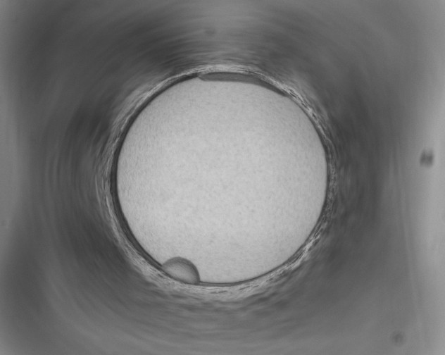 X0000116890001201001121353