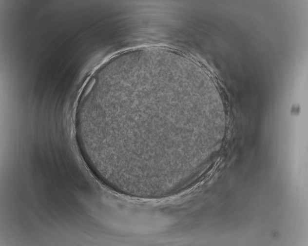 X0000116890002201001121353