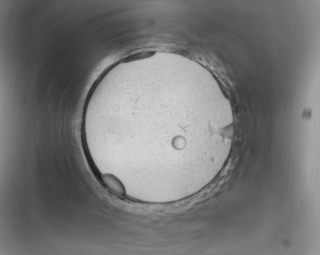 X0000116890003201001121353