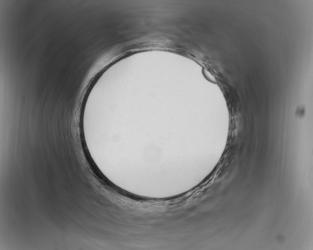 X0000116890004201001121353