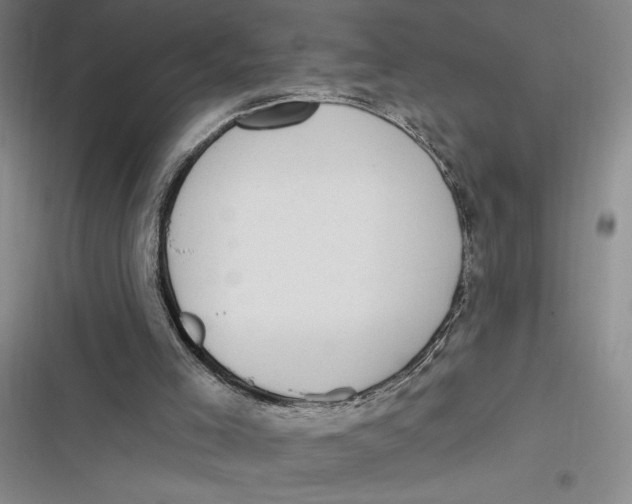 X0000116890005201001121353