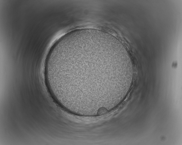 X0000116890006201001121353