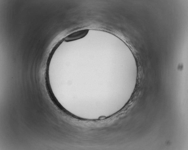 X0000116890007201001121353