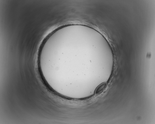 X0000116890008201001121353