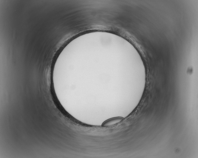 X0000116890011201001121353