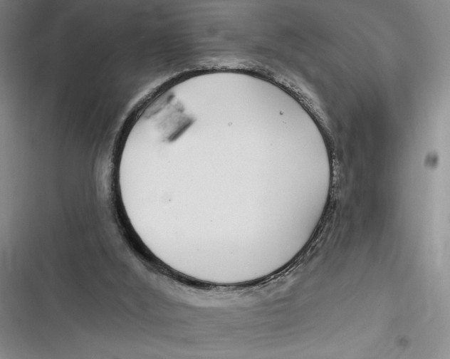 X0000116890012201001121353