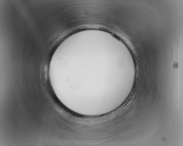 X0000116890013201001121353