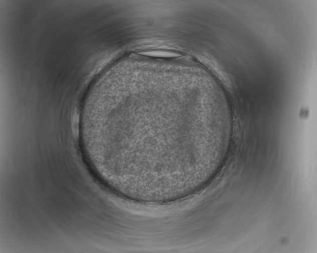 X0000116890014201001121353