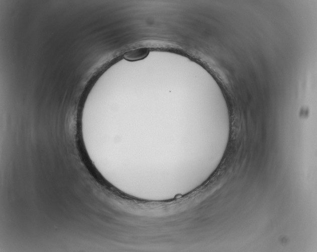 X0000116890015201001121353