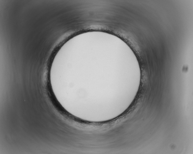 X0000116890016201001121353