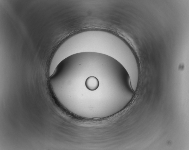 X0000116890017201001121353