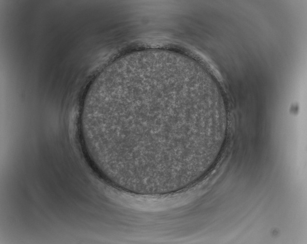 X0000116890018201001121353