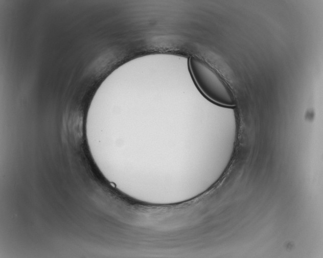 X0000116890021201001121353