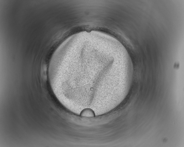 X0000116890022201001121353