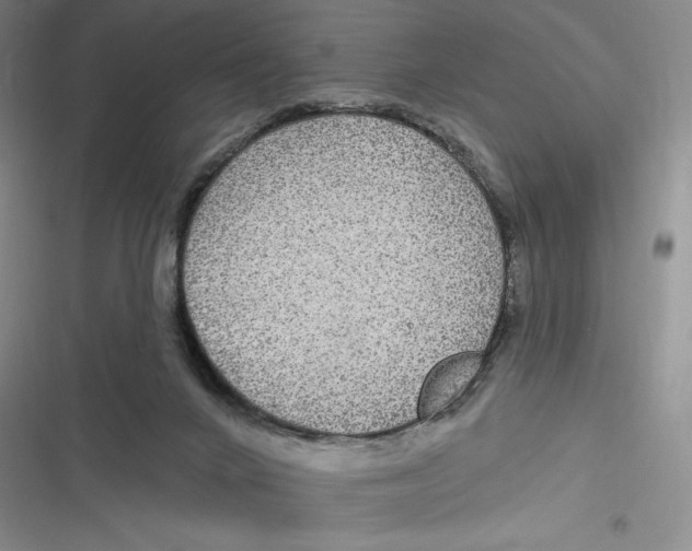 X0000116890024201001121353