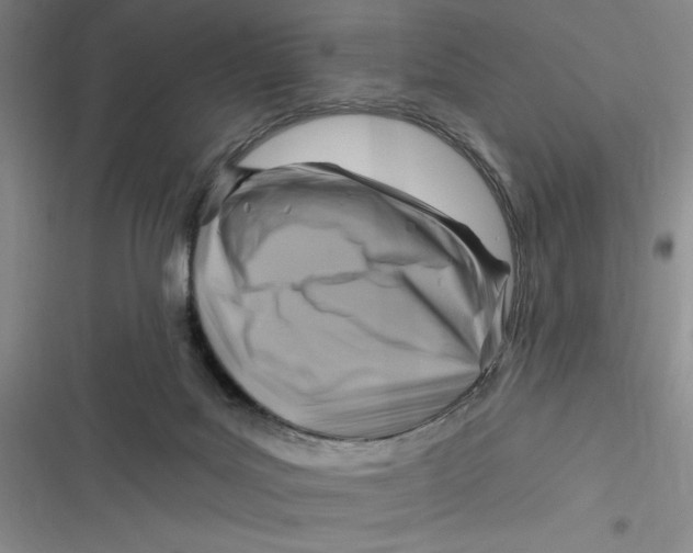 X0000116890027201001121353