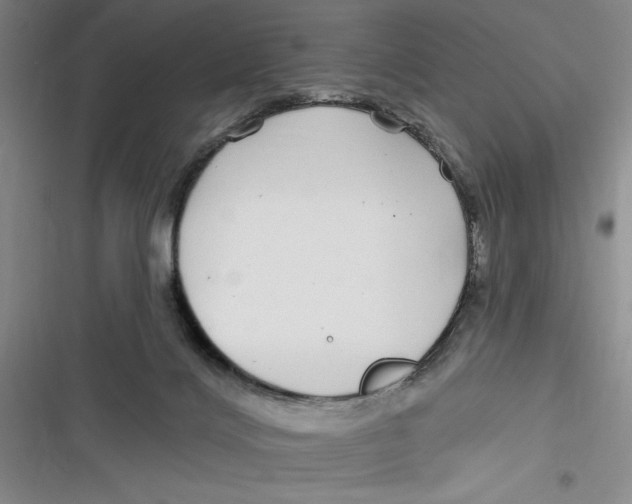 X0000116890028201001121353