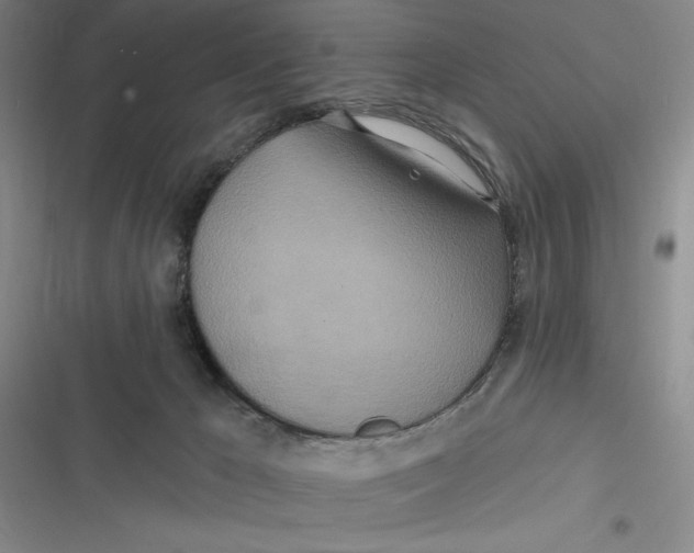 X0000116890029201001121353