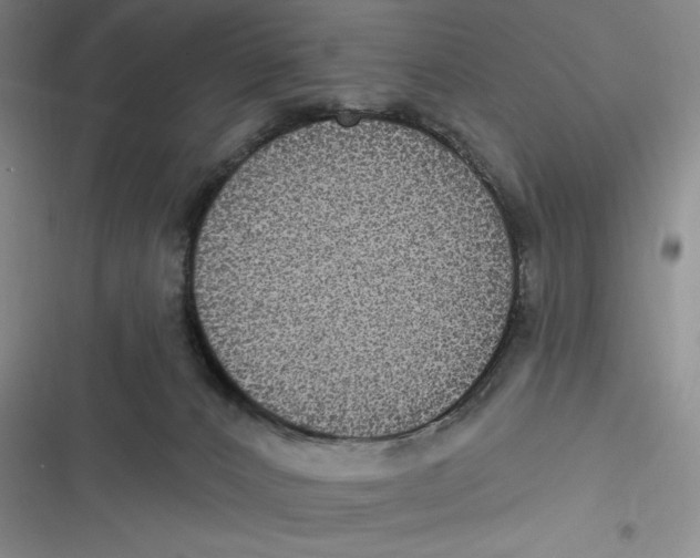 X0000116890032201001121353