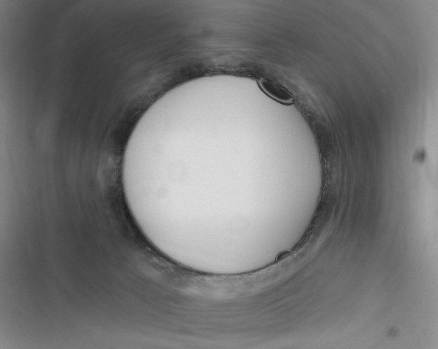 X0000116890033201001121353