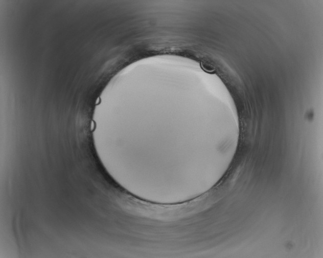 X0000116890035201001121353