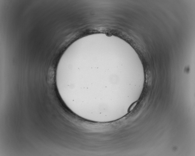 X0000116890036201001121353