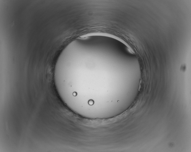 X0000116890037201001121353