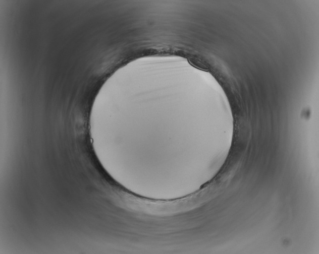 X0000116890039201001121353