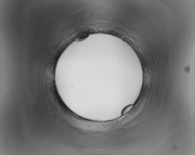 X0000116890040201001121353