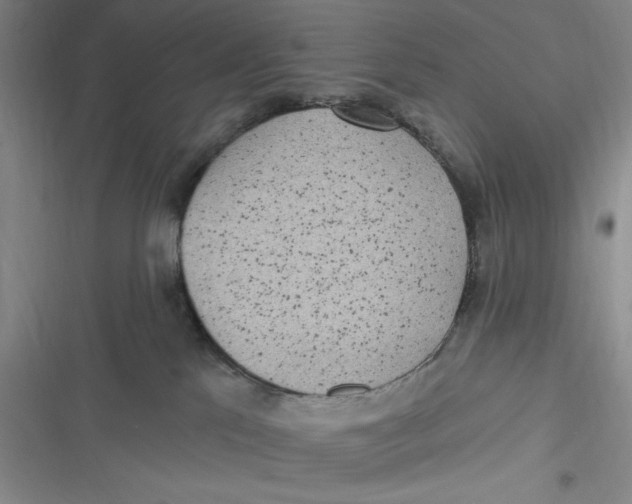 X0000116890041201001121352