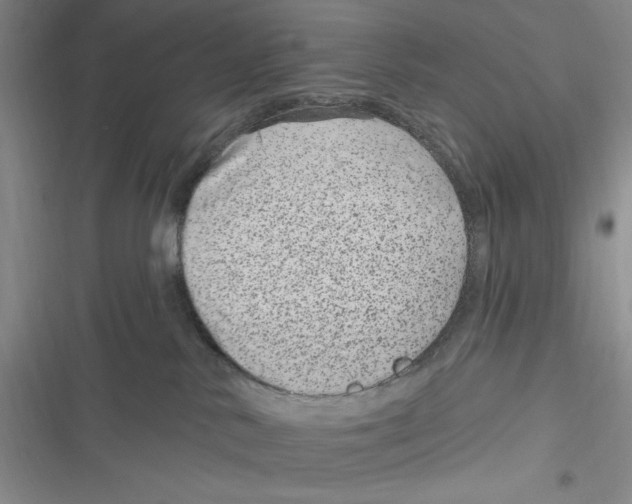 X0000116890042201001121352