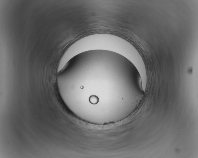 X0000116890043201001121352