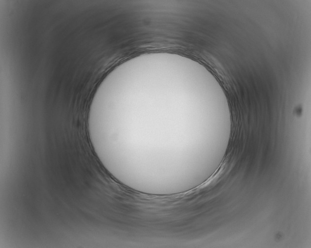 X0000116890045201001121352