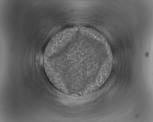 X0000116890046201001121352