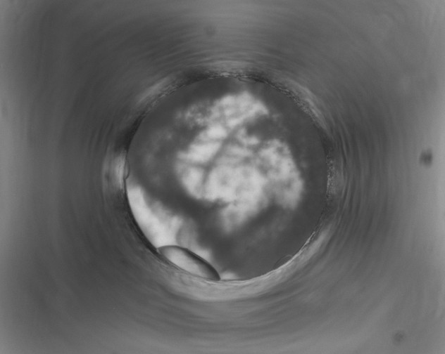 X0000116890047201001121352