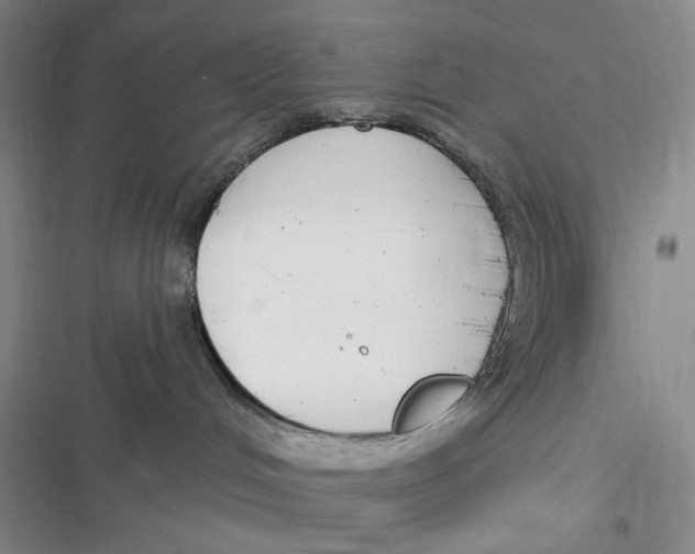 X0000116890048201001121352